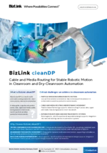 BizLink english product flyer cleanDP