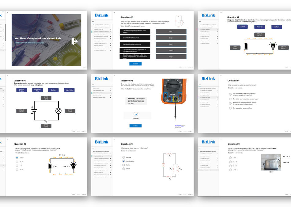 Monitor showing BizLink Online Training screenshots