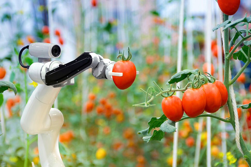 fruit picking robots - agricultural robot in crop harvesting