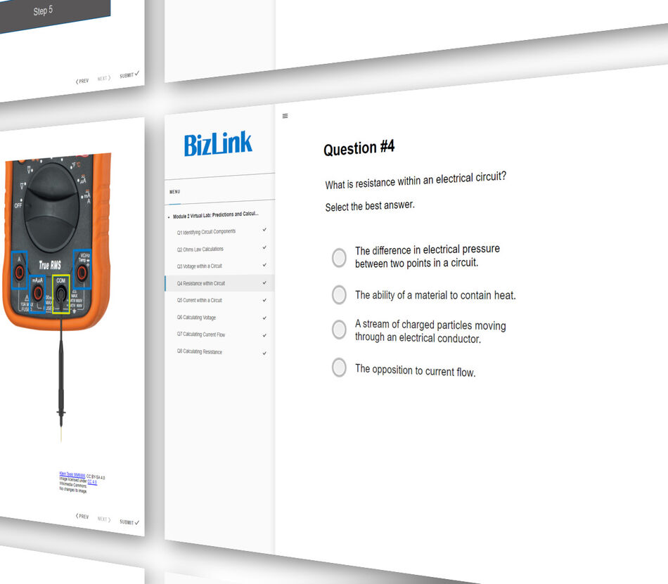 Screenshot of BizLink Online Training Course