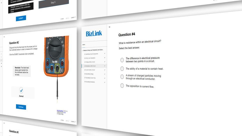 Screenshot of BizLink Online Training Course