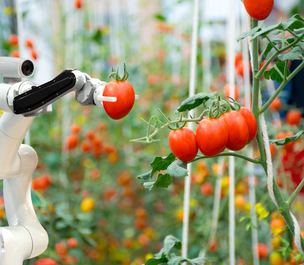 fruit picking robots - agricultural robot in crop harvesting