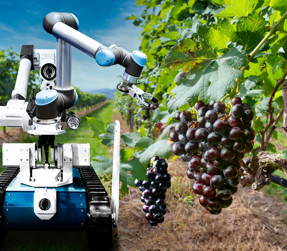 weeding and mowing - agricultural robot in crop harvesting